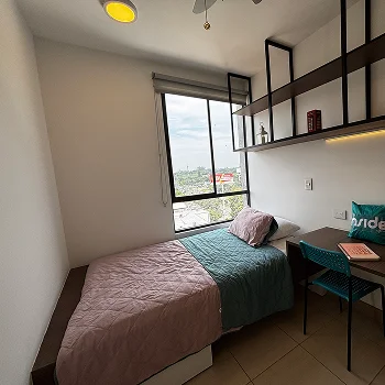 Acomodacion plus inside